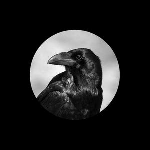 男生插女生小穴的视频漫画小说
